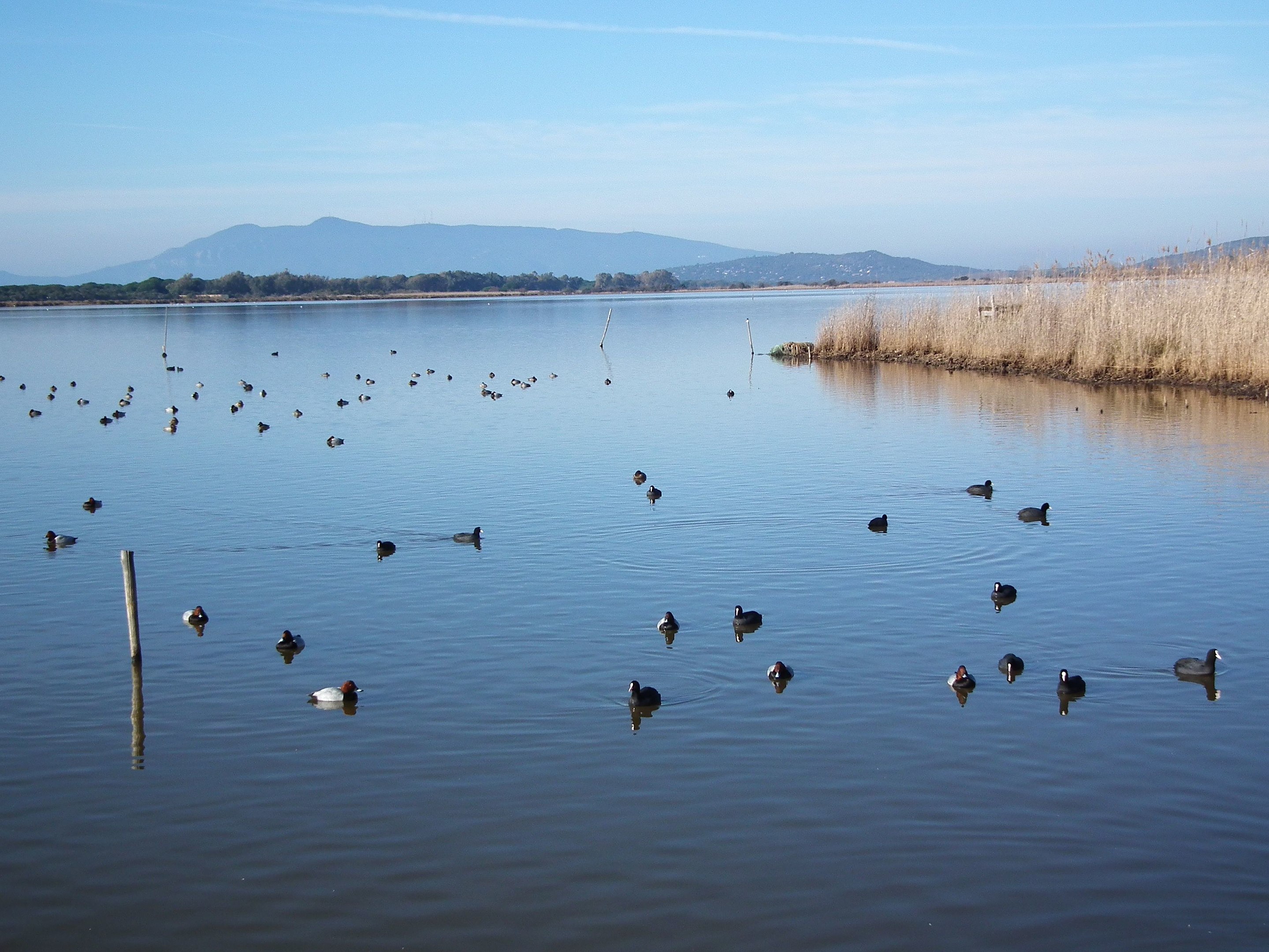 Lago di Burano