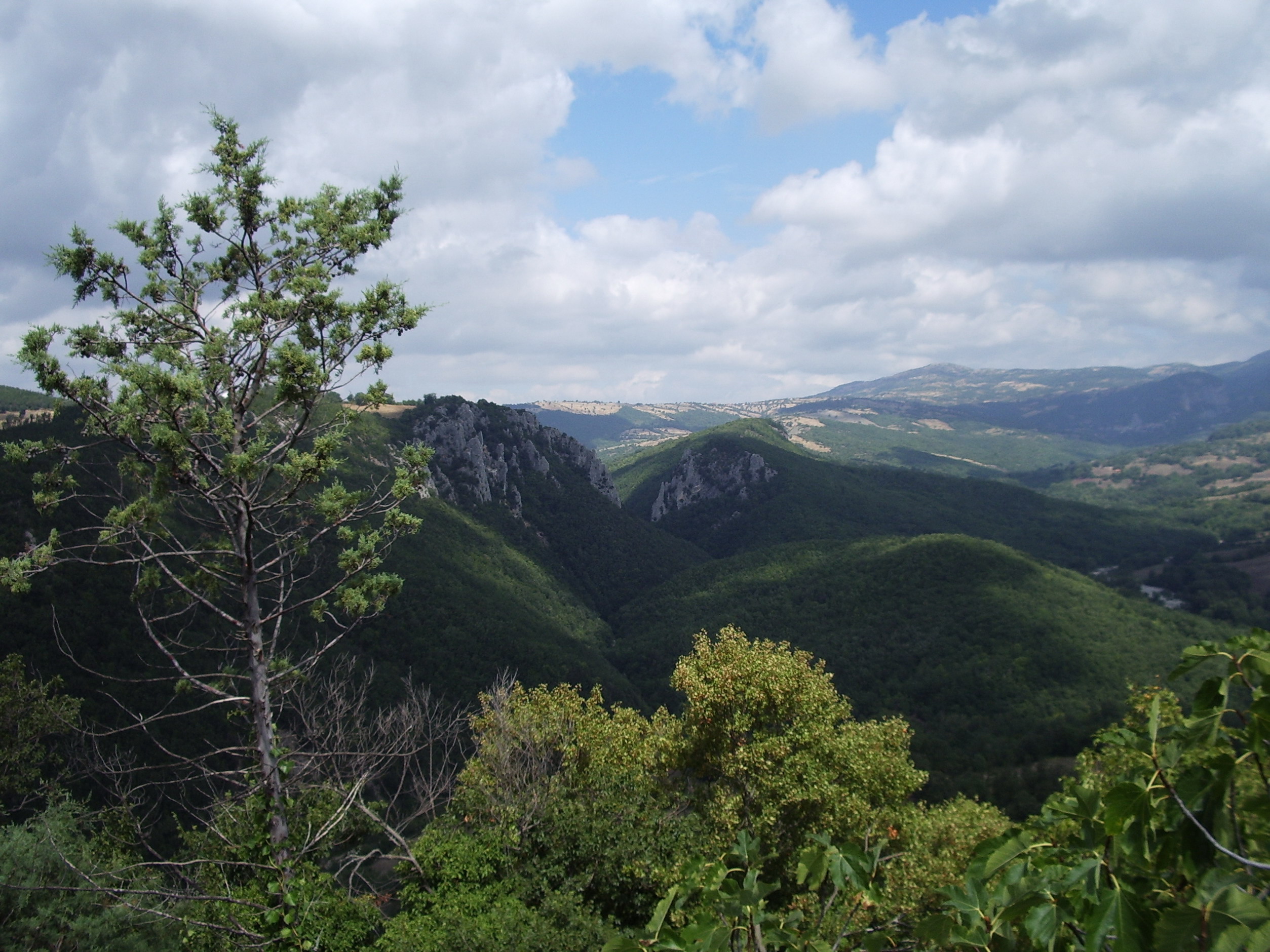 Hills of Albegna and Fiora