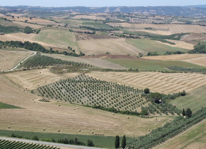 La Valle dell’Ombrone