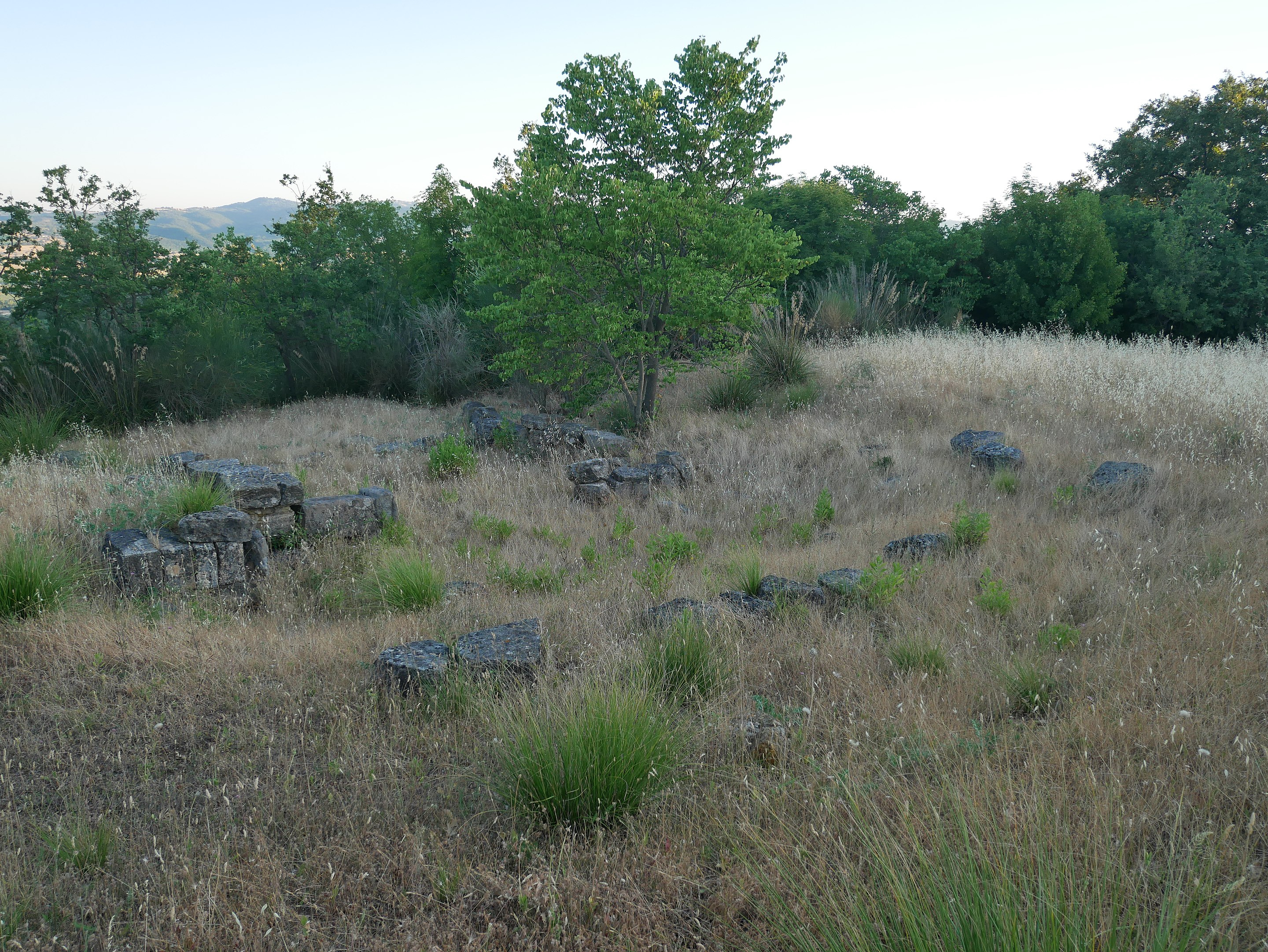 Sito archeologico etrusco di Ghiaccio Forte