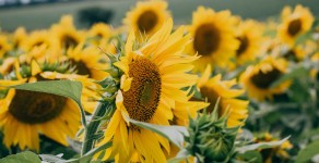 I Parchi della Maremma